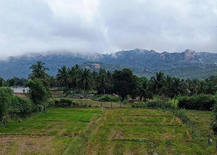 Tusker Trails Farm
